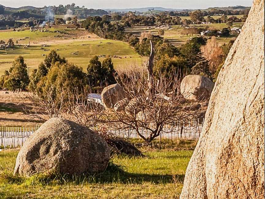 Syrahmi, Wineries in Tooborac