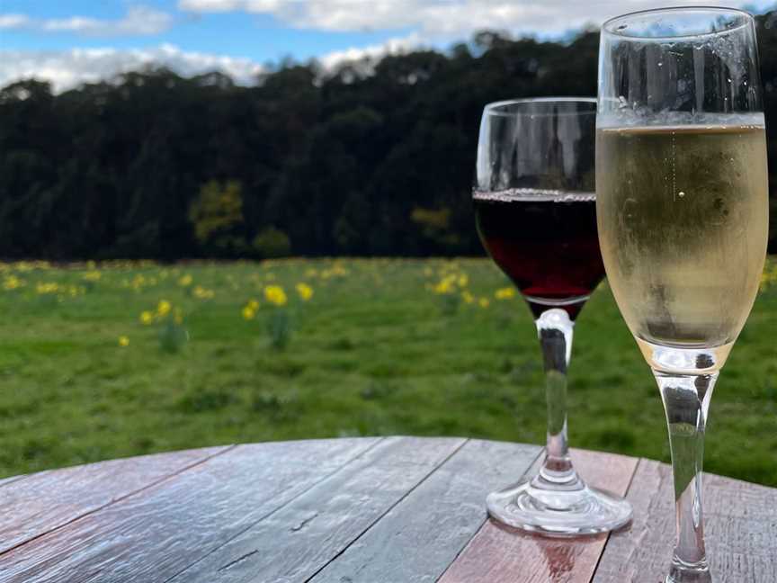 Enjoying a glass admiring the daffodils in August