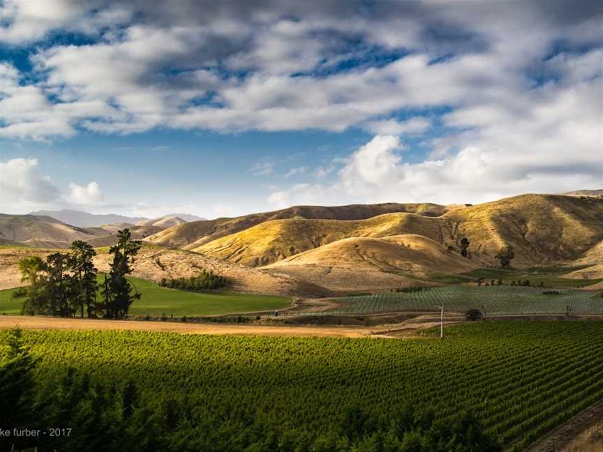 Auntsfield Estate, Blenheim, New Zealand