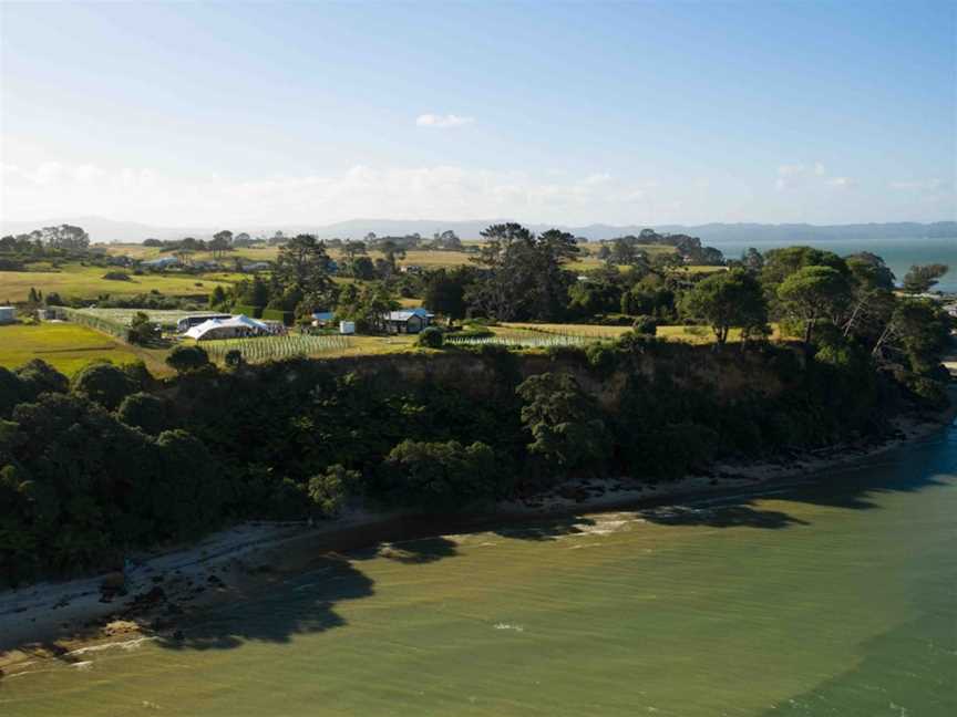 Cliff Edge Wines, Manukau Heads, New Zealand