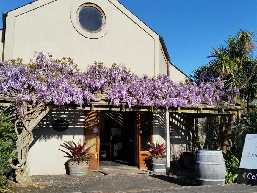 Coopers Creek Vineyard, Kumeu, New Zealand