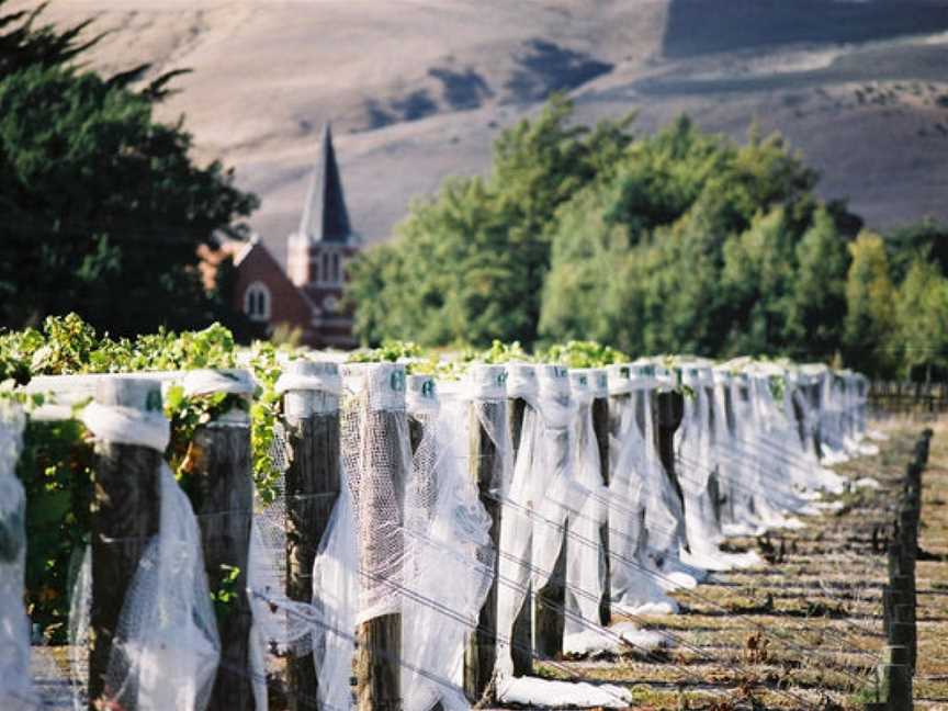 Dunnolly Estate Wines, Blenheim, New Zealand