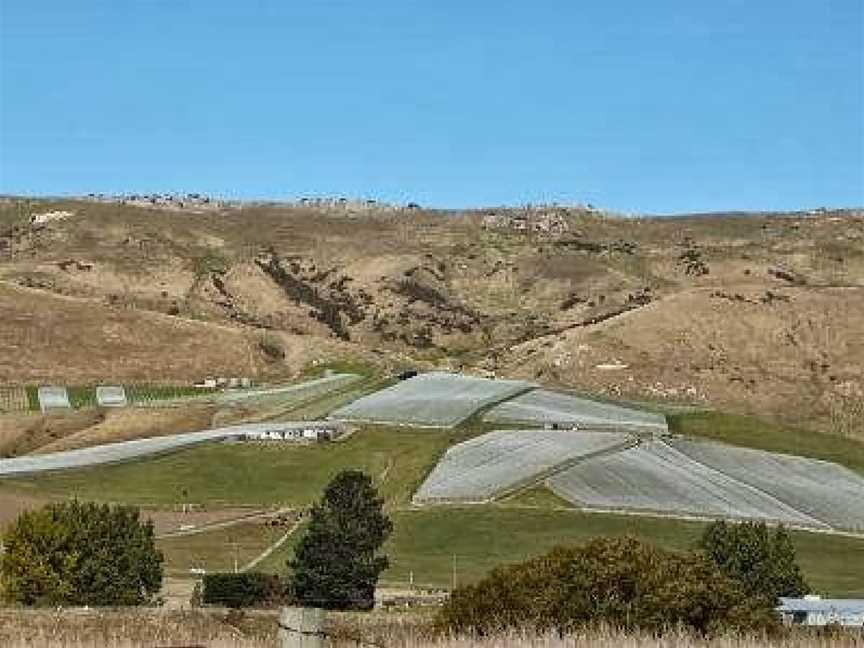 Fancrest Estate, Waipara, New Zealand