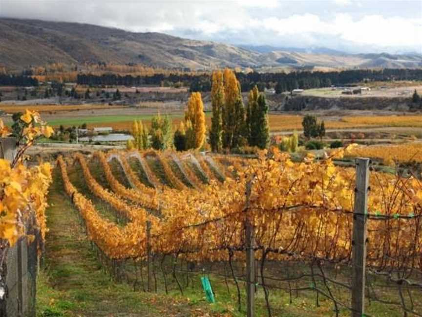 Gate 20 Two, Bannockburn, New Zealand