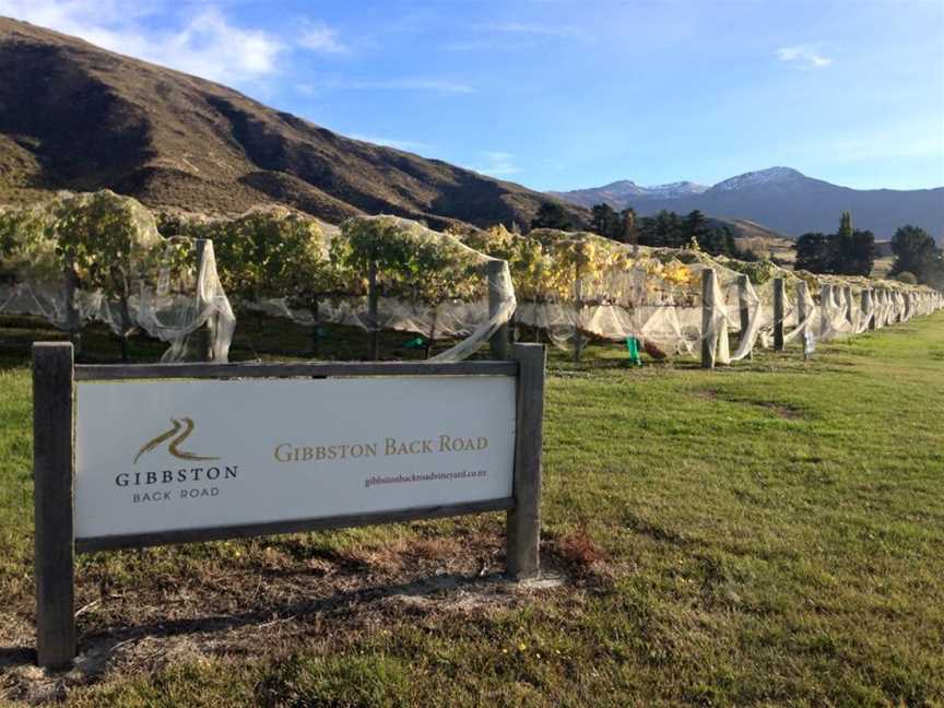 Gibbston Back Road Vineyard, Gibbston, New Zealand