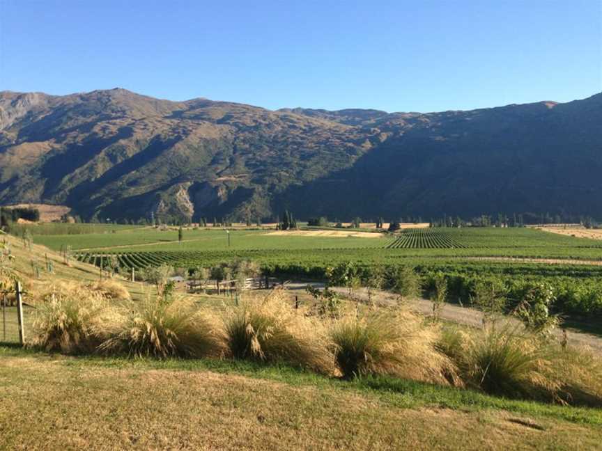 Gibbston Back Road Vineyard, Gibbston, New Zealand