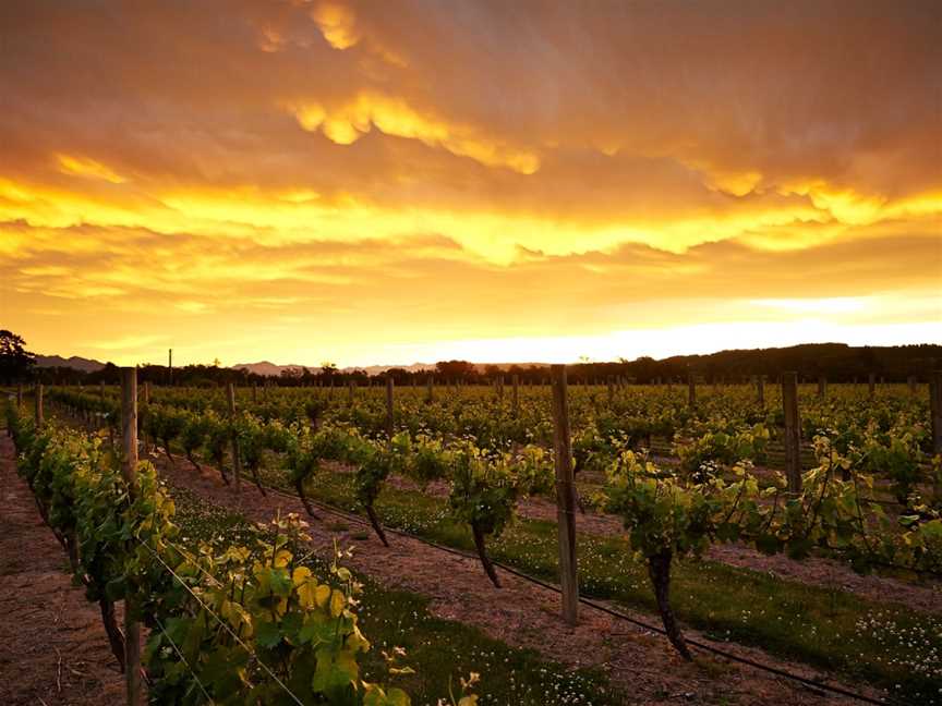 Jackson Estate, Springlands, New Zealand