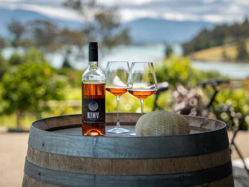 Kina Beach Vineyard, Tasman, New Zealand