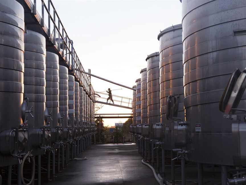 Marlborough Vintners, Springlands, New Zealand