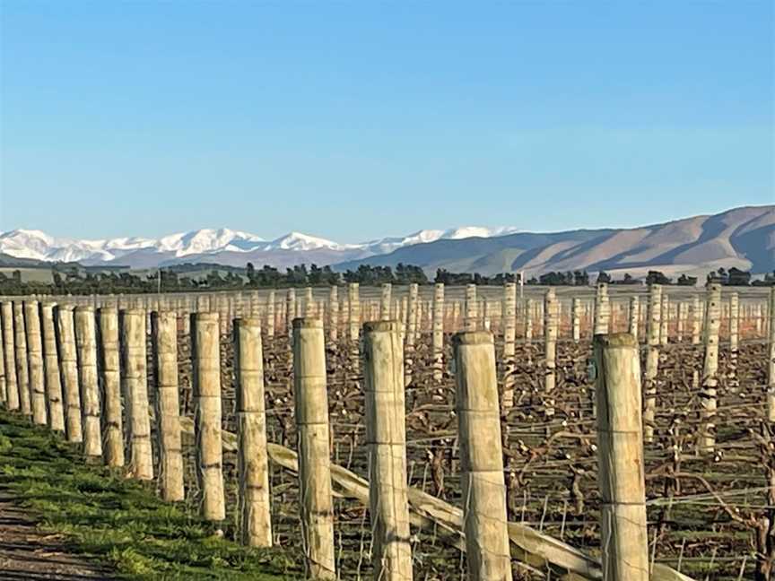 Mount Brown Estates, Amberley, New Zealand