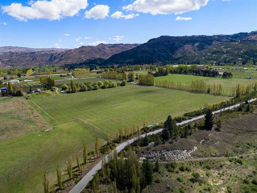 Mount Michael Wines, Frankton, New Zealand