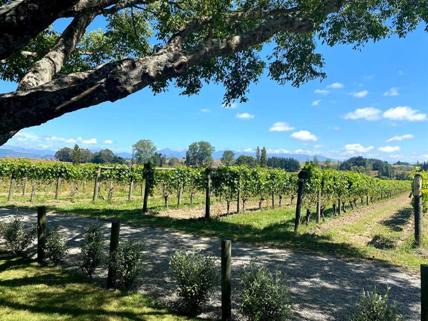 Neudorf Vineyards, Nelson, New Zealand