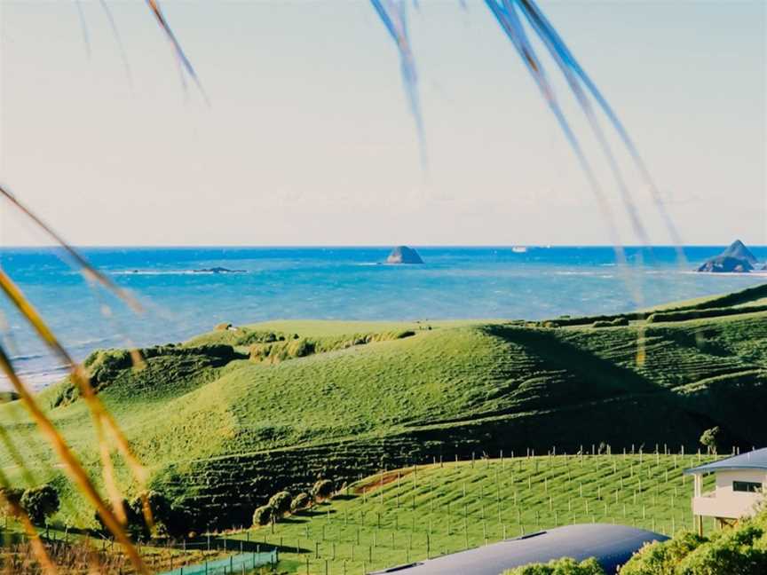 Okurukuru Wines, Omata, New Zealand