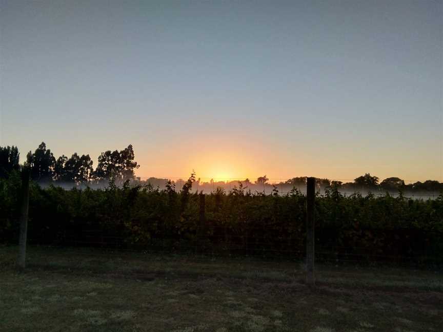 Omarino Wine Park, Harewood, New Zealand