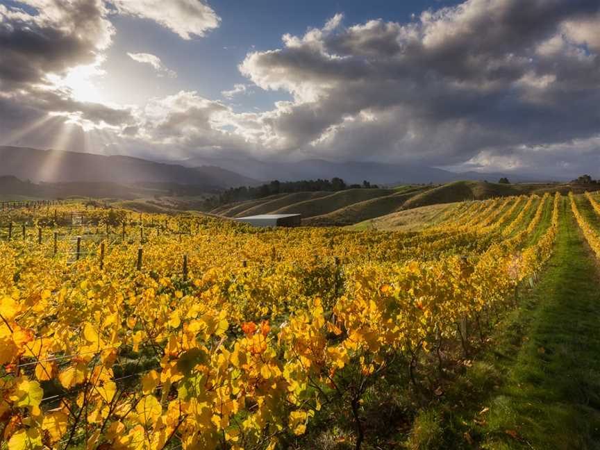 Orinoco Vineyards, Upper Moutere, New Zealand