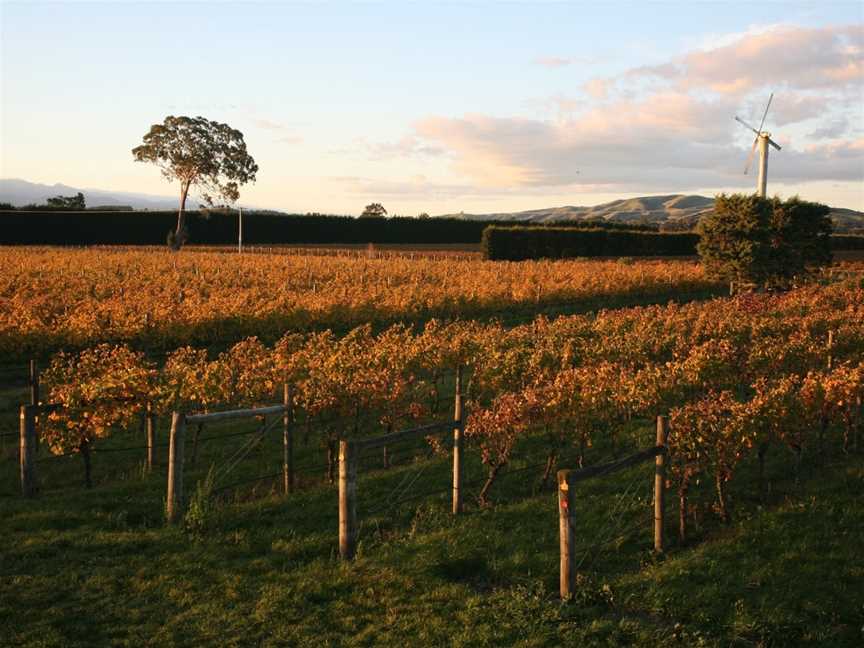 On Giants' Shoulders, Martinborough, New Zealand