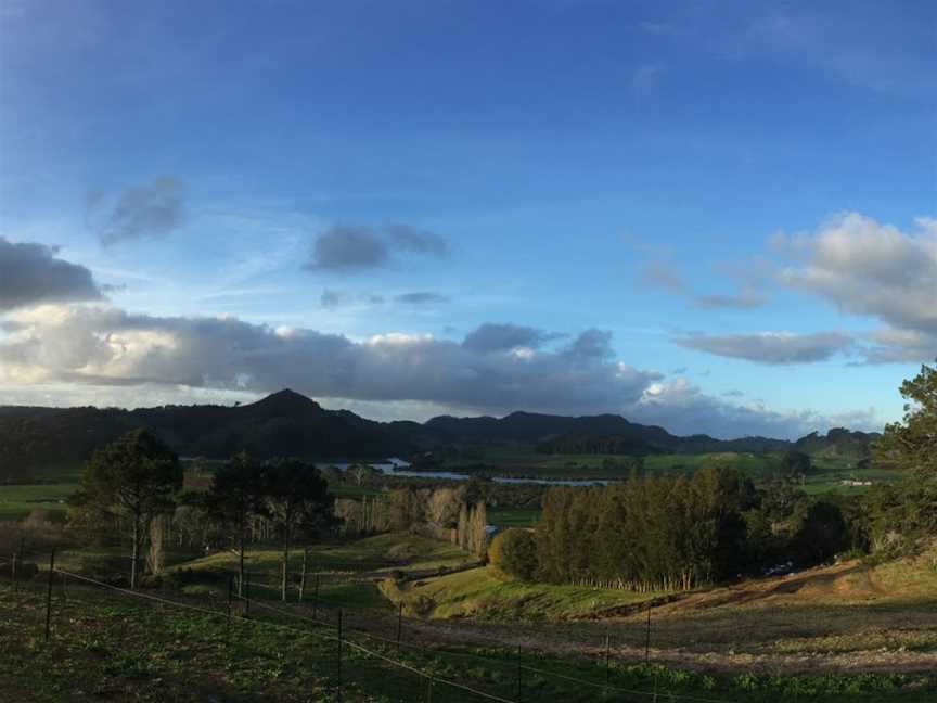 Purangi Winery, Cooks Beach, New Zealand