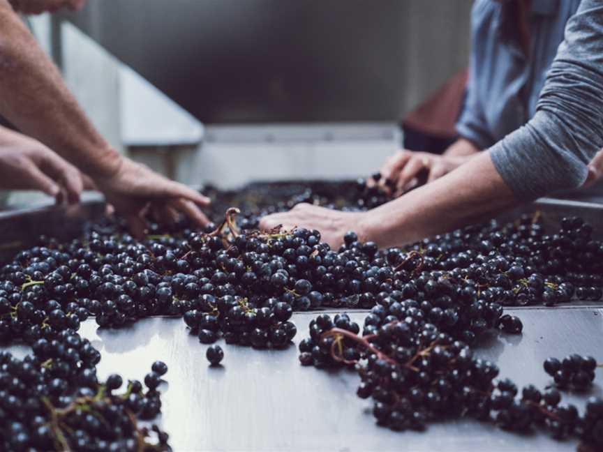 Radburnd Cellars, Bay View, New Zealand