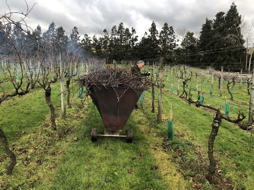 Rannach Vineyard Clevedon, Clevedon, New Zealand