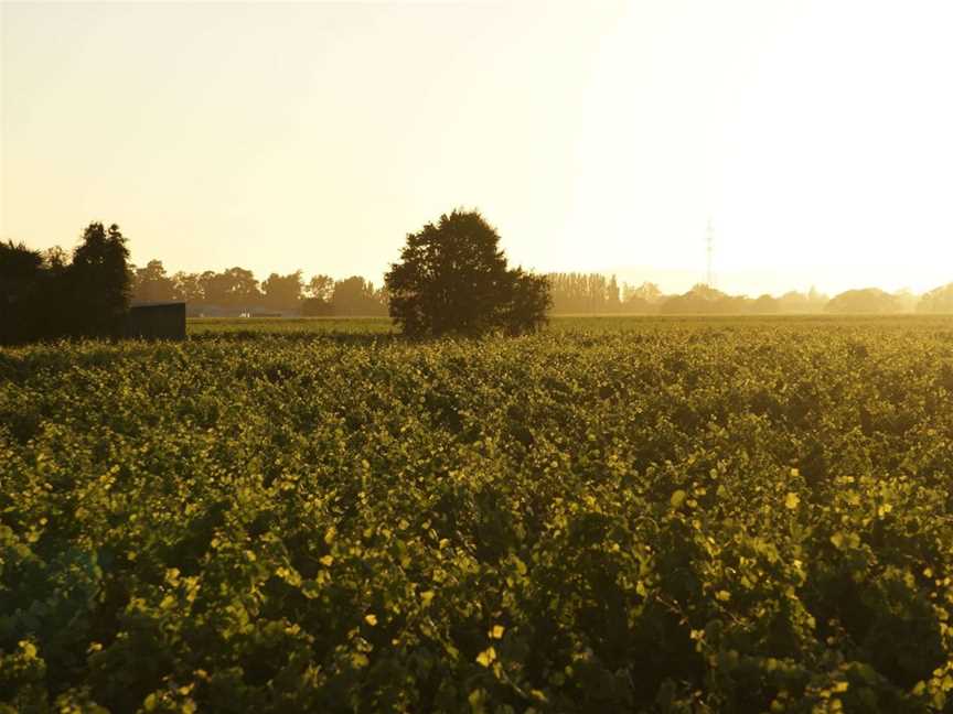 Riverby Estate, Blenheim, New Zealand