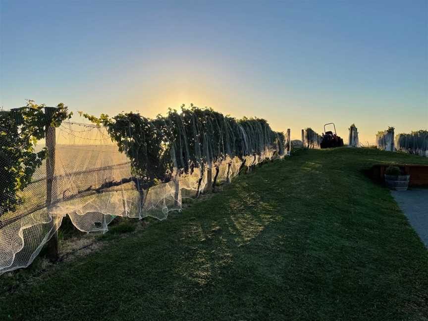 Tironui Estate, Taradale, New Zealand