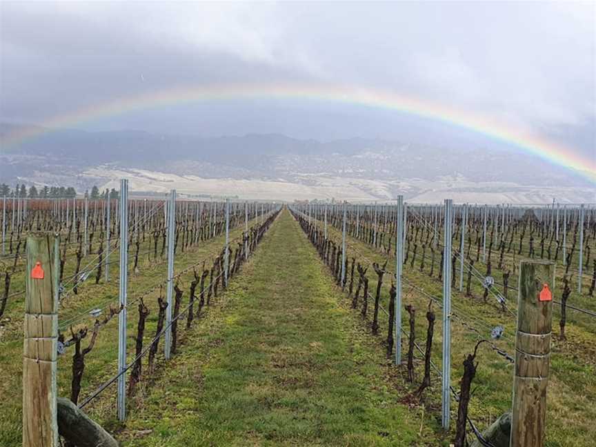 Zebra Nz Vineyards, Bendigo, New Zealand