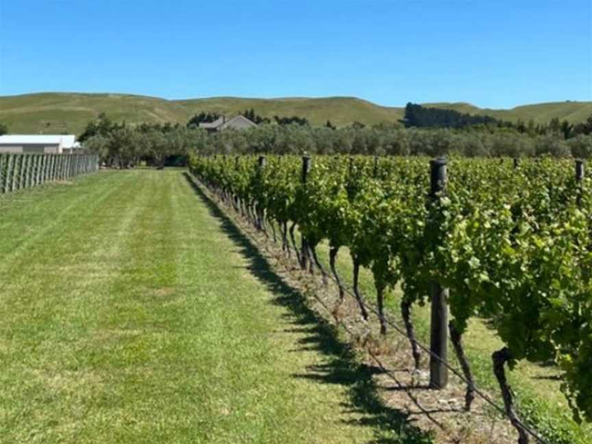 Butterworth Estate, Martinborough, New Zealand