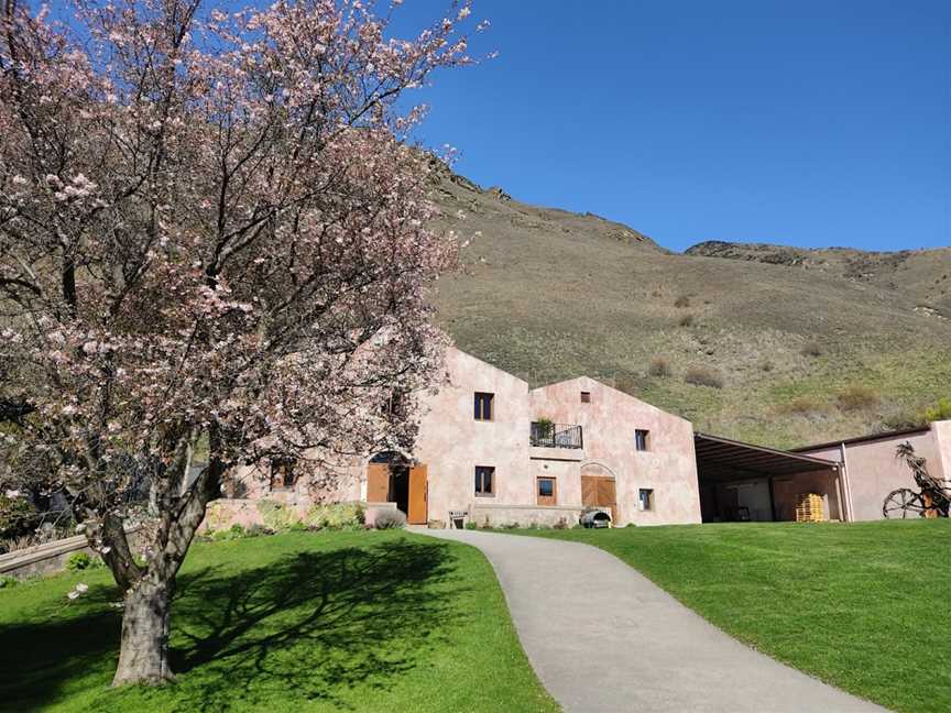 Chard Farm, Gibbston, New Zealand