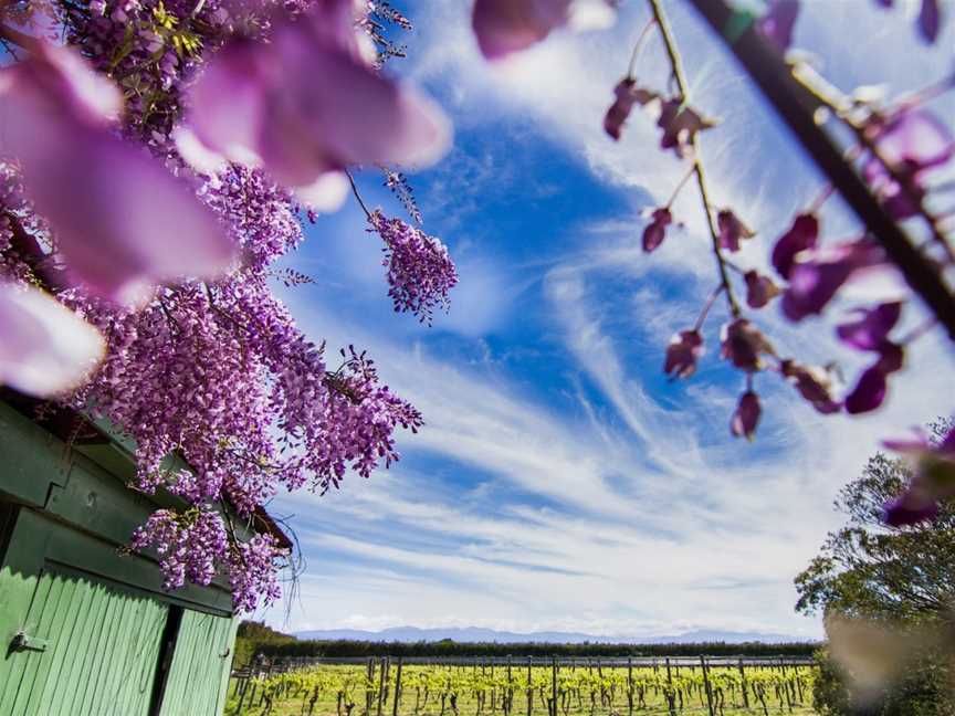 Dry River Wine, Martinborough, New Zealand