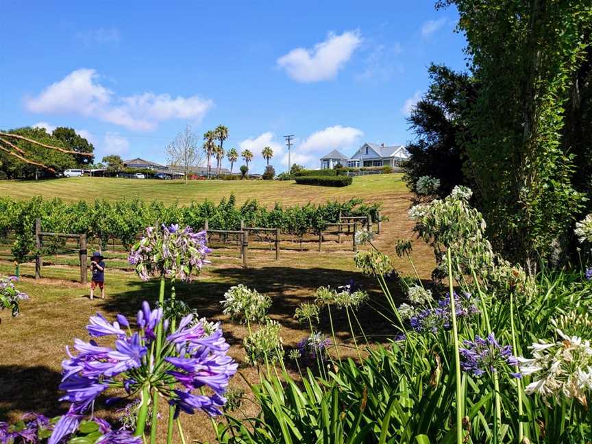 The Hunting Lodge winery, Waimauku, New Zealand