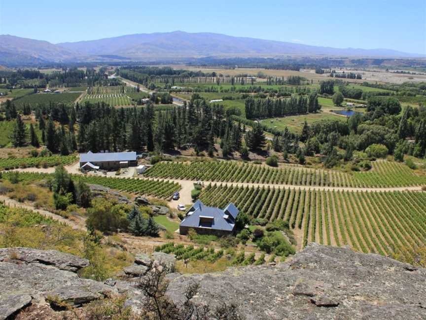 Black Ridge,Black Ridge Vineyard, Earnscleugh, New Zealand