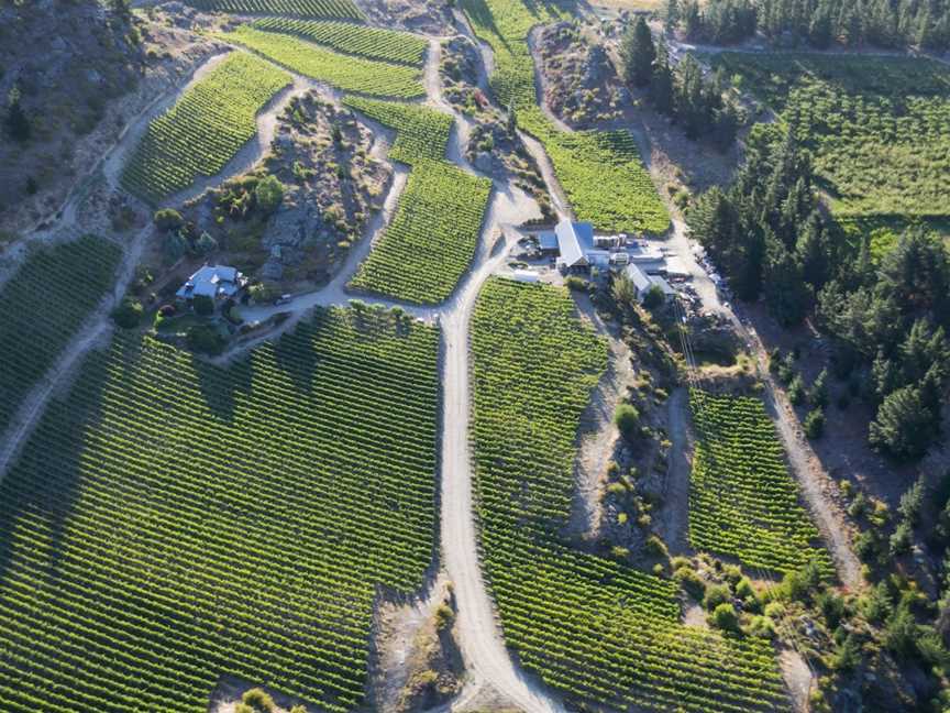 Black Ridge,Black Ridge Vineyard, Earnscleugh, New Zealand