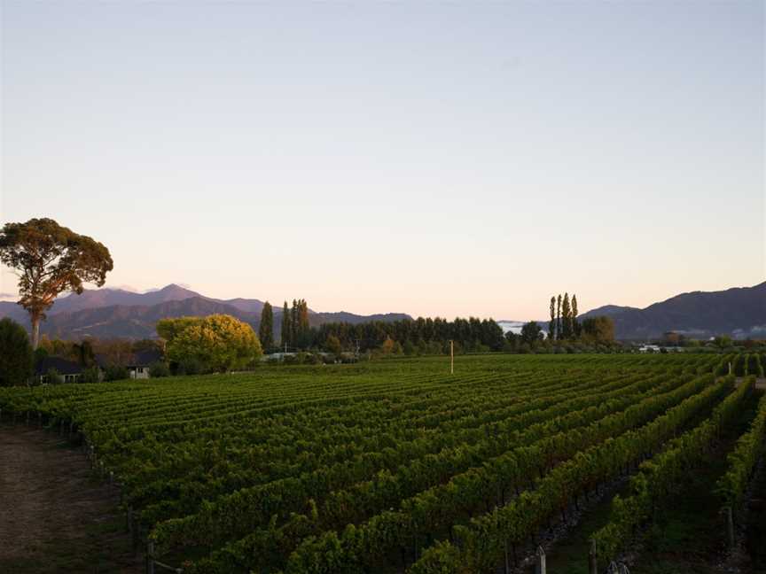 Mahi, Renwick, New Zealand