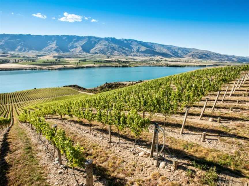 Misha’s Vineyard,Misha's Vineyard Tasting Room, Cromwell, New Zealand