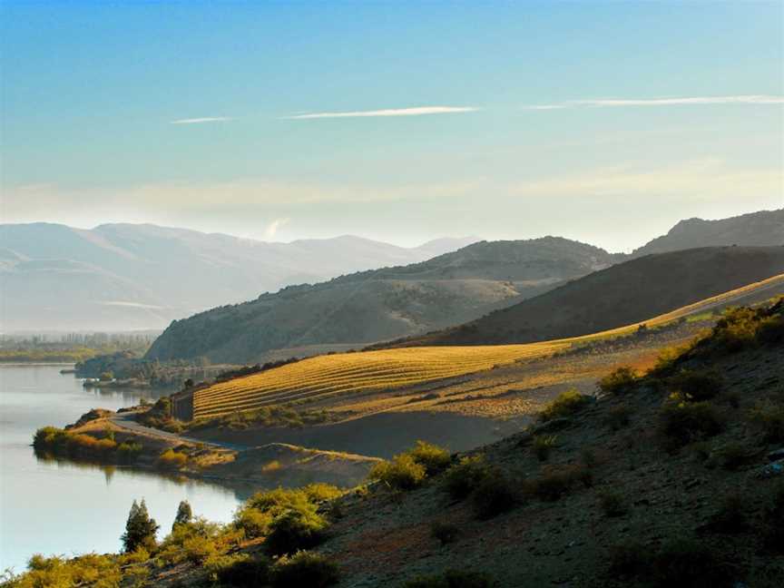 Misha’s Vineyard,Misha's Vineyard Tasting Room, Cromwell, New Zealand