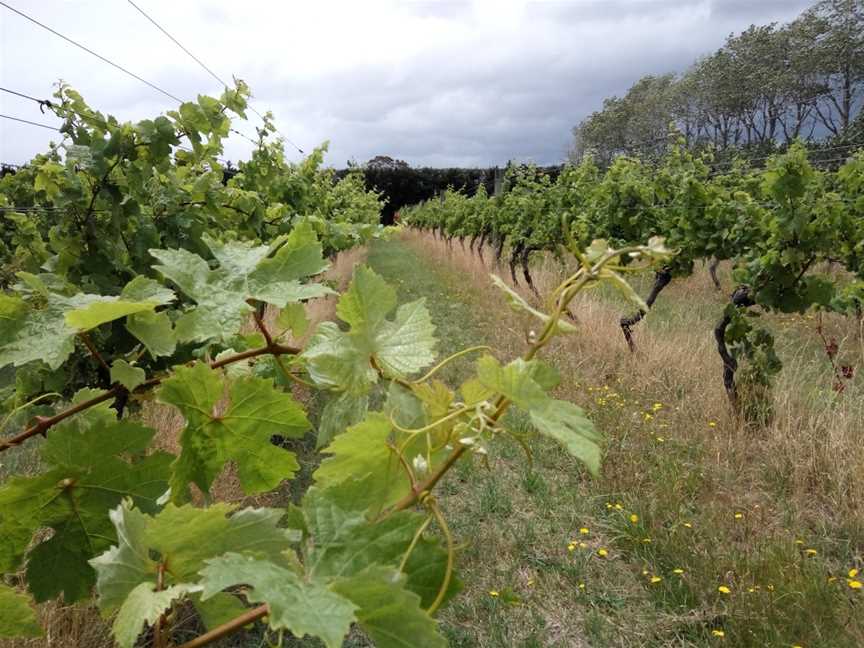 Porters,Porters Pinot,Porter's Pinot, Martinborough, New Zealand