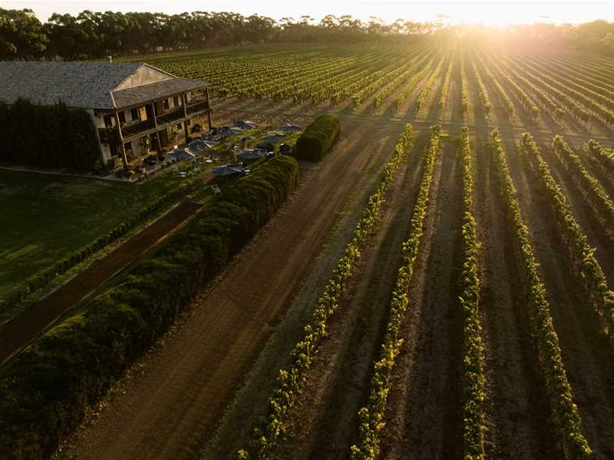 Cherubino Cellar Door & Guest Houses, Wineries in Wilyabrup