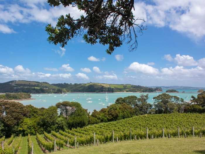 On the Vine - Waiheke Island Wine