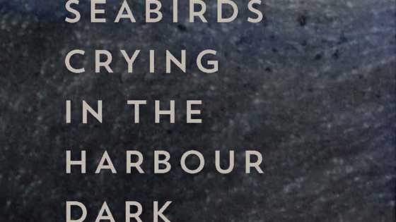 Seabirds Crying in the Harbour Dark: Stories of modern humanity