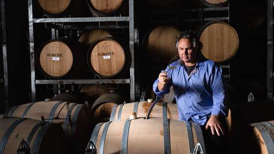 Margaret River wineries triumph at Halliday Awards