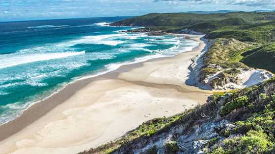 Explore the tiny coastal town of Walpole, where the giants of the forest meet the sea