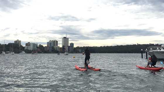 Water-biking on the Swan River – a strangely fun and addictive family activity for any season