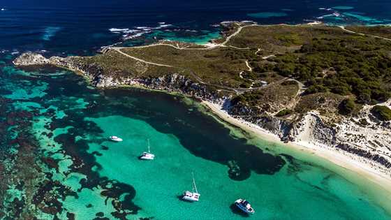 Six fun and out-of-the-box things to do in winter on Rottnest Island