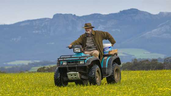 Jeremy Sims' new film RAMS showcases the unique landscapes of Mount Barker