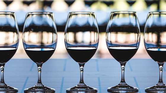 Sample award-winning wines at the Swan Valley Wine Show