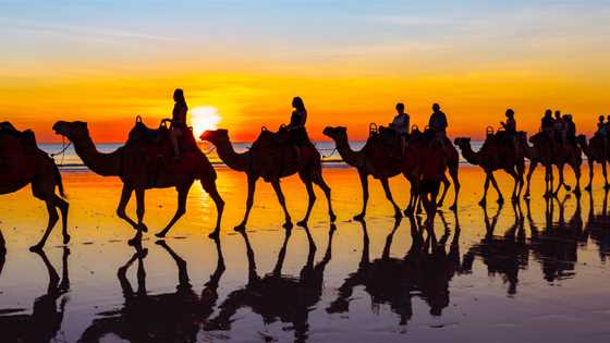 7 luxurious Broome stays