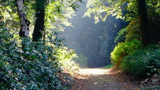 Walking trails to walk, hike, stroll and enjoy